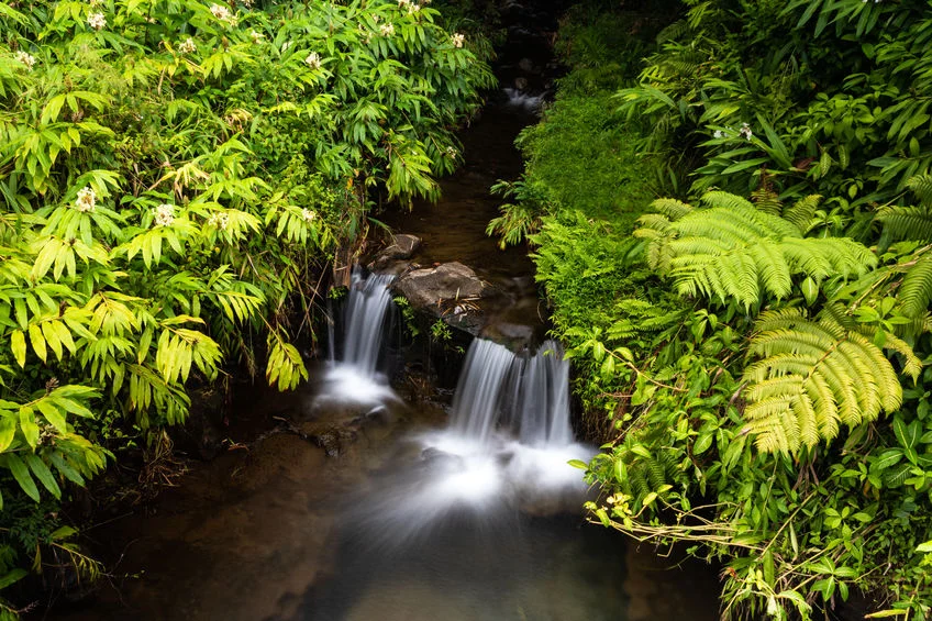 114920644_s-falls